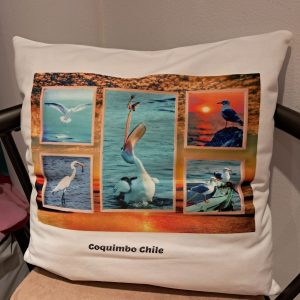 funda sublimada para cojín